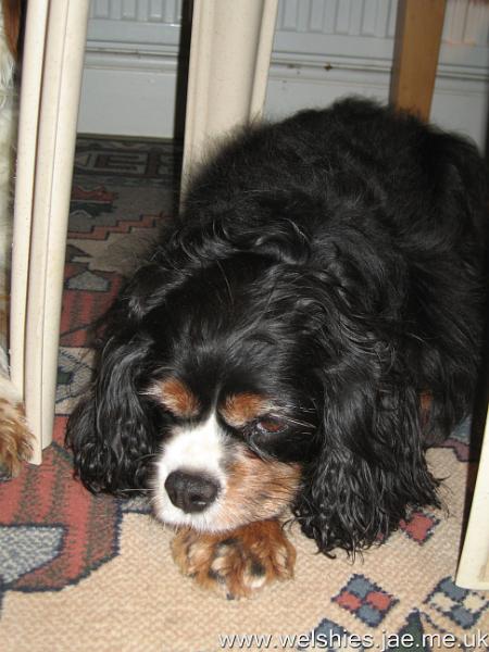 2009-12-25 26.JPG